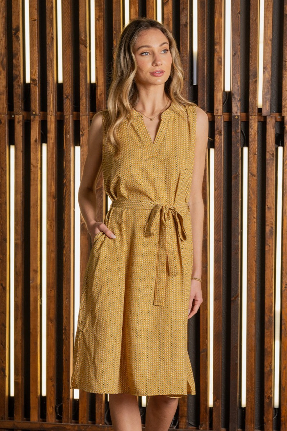 Anahi Sleeveless Dress