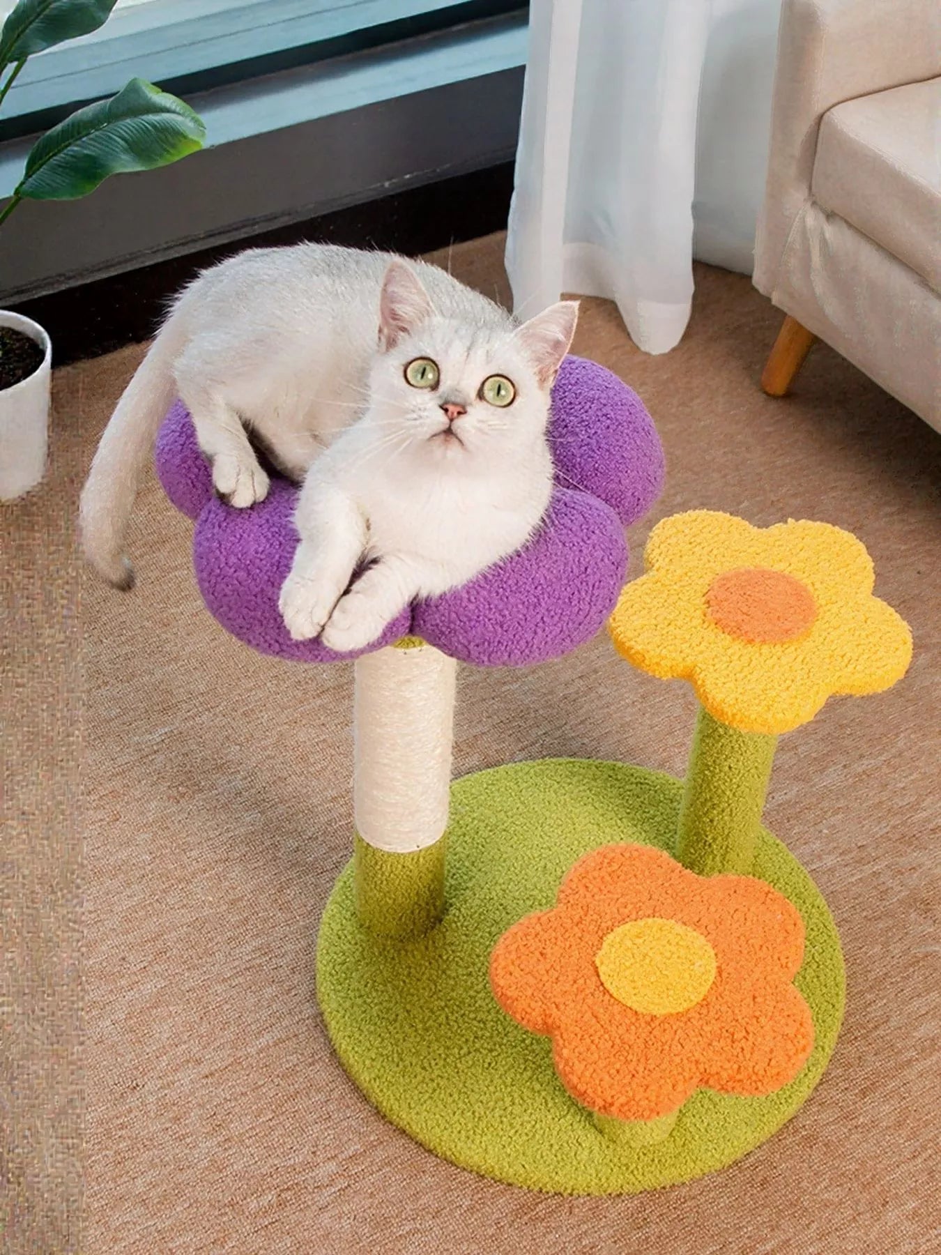 0400880f-81cb-4d3a-889d-46a5be422edc-Max-Origin