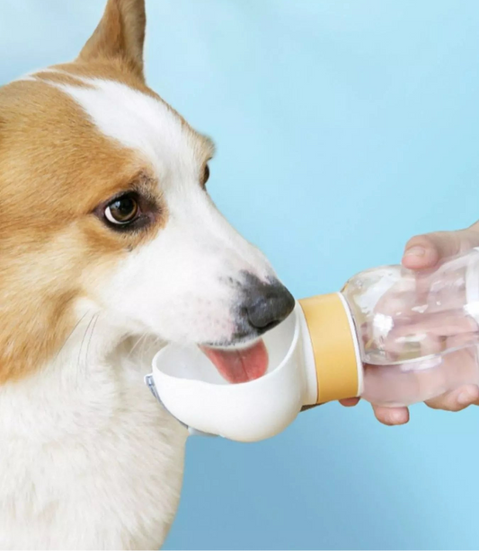 648b5aa0-e67a-4842-9b97-d8fe05c771ea-Max-Origin