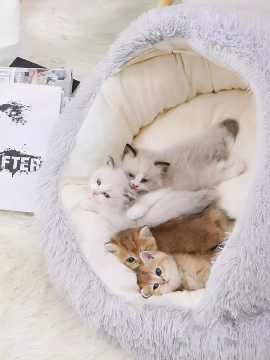 7de0b08b-557c-4c54-aa89-add6f10cc4e7-Max-Origin