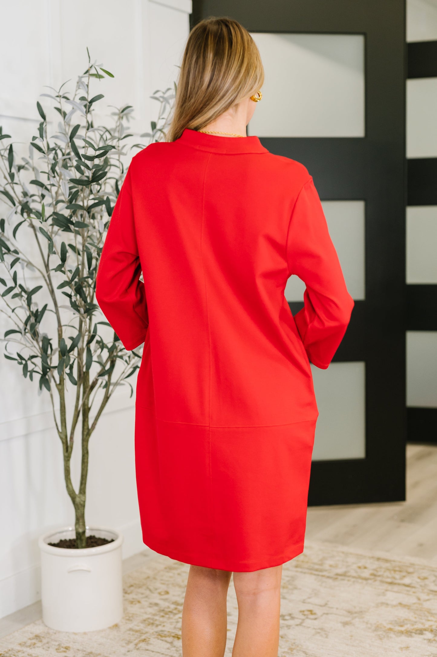Portfolio Dress | Red