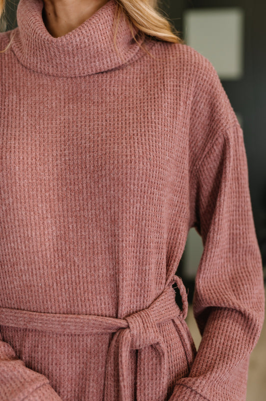 Travel Plush Dress | Autumn Berry