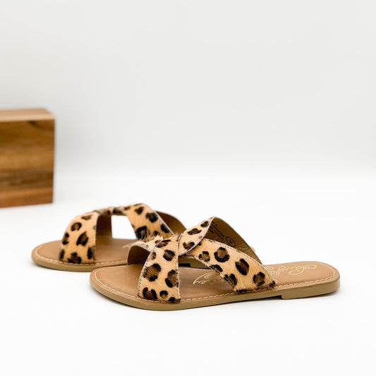 Conga Sandals | Leopard