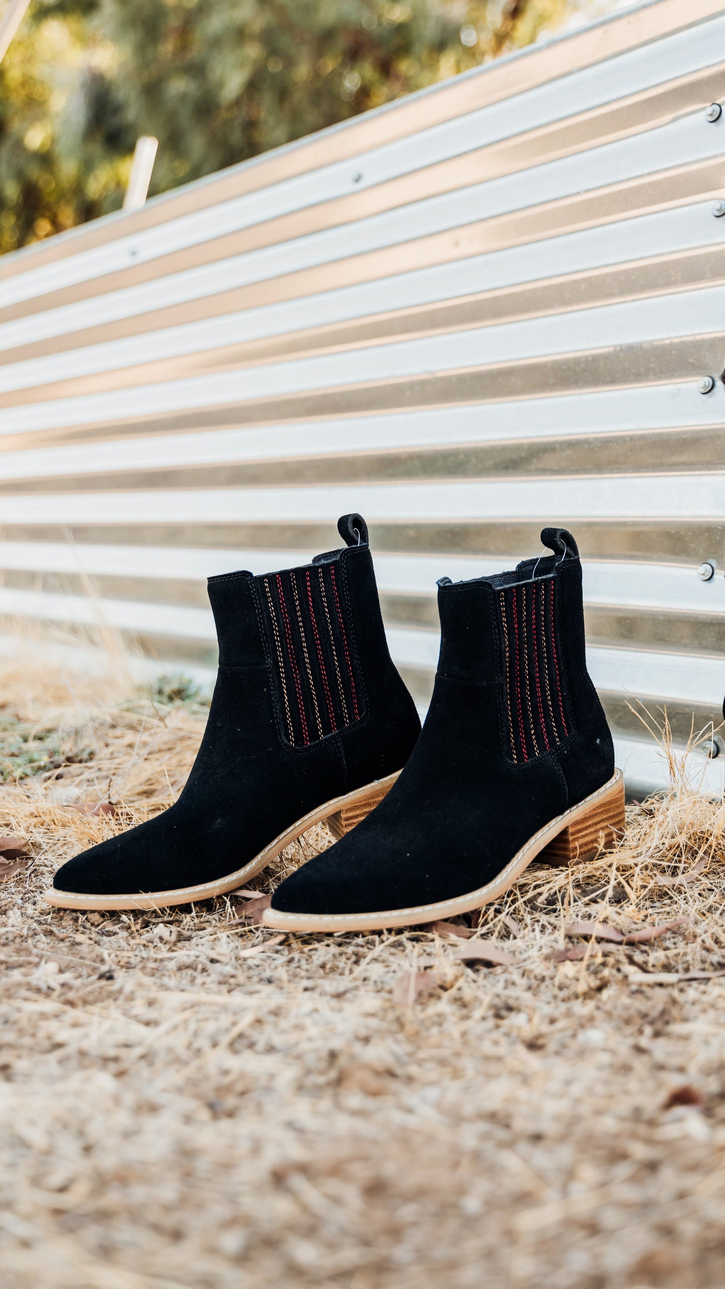 Leonor Suede Ankle Boots | Black