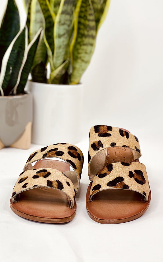 Spirited Slides | Leopard