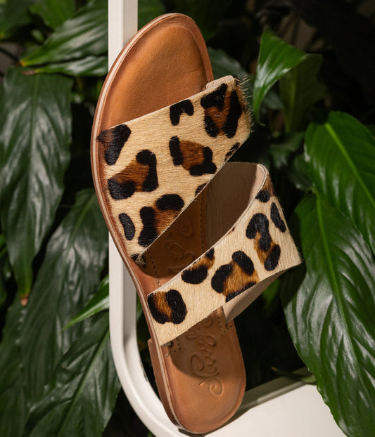 Spirited Slides | Leopard