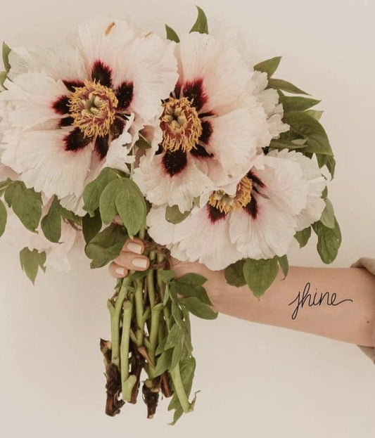 Shine Temporary Tattoo